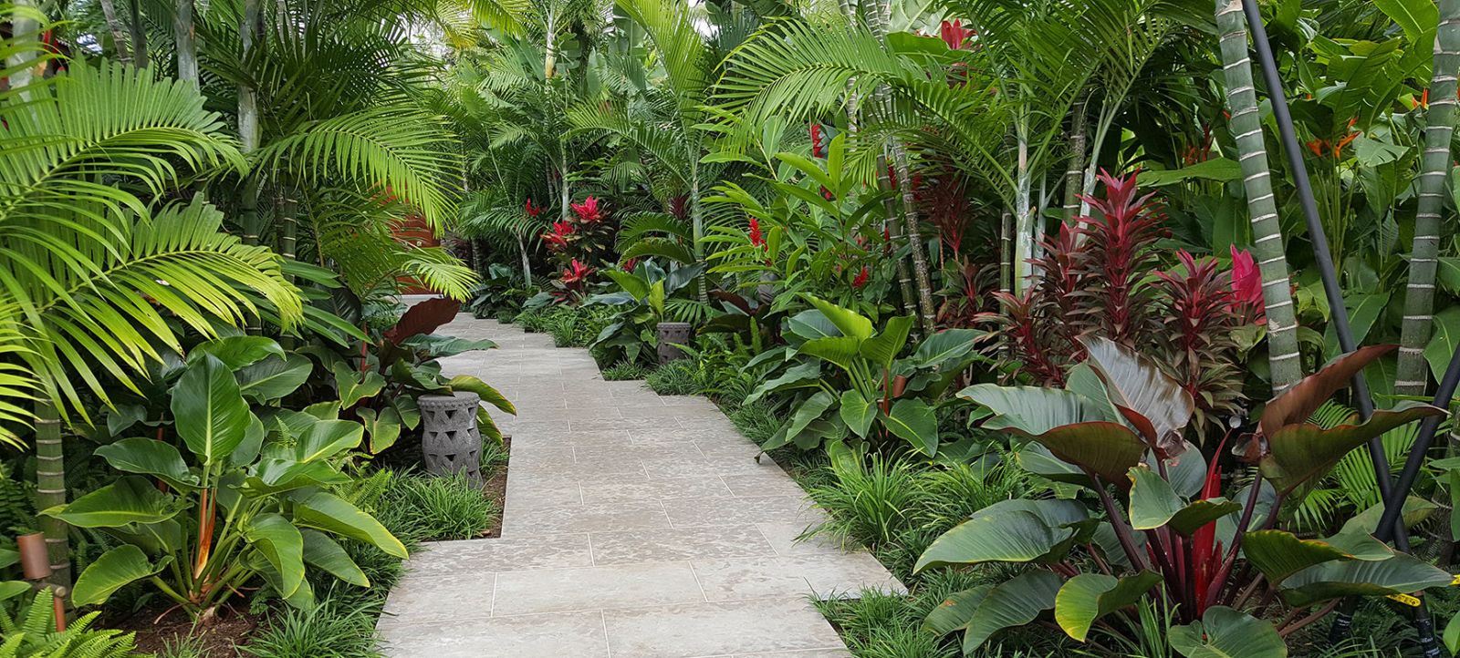 Thiết kế sân vườn nhiệt đới